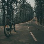 pexels-unmon-sarmah-126286074-10228407